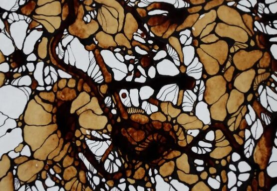 SUDNIKOWICZ BERNADETA – Kawowa impresja