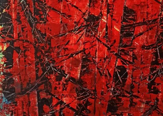 SUDNIKOWICZ BERNADETA – Splątanie w płomieniach