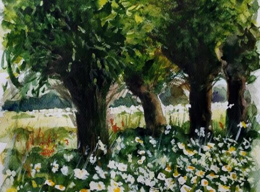 SUDNIKOWICZ BERNADETA – Stokrotkowa łąka