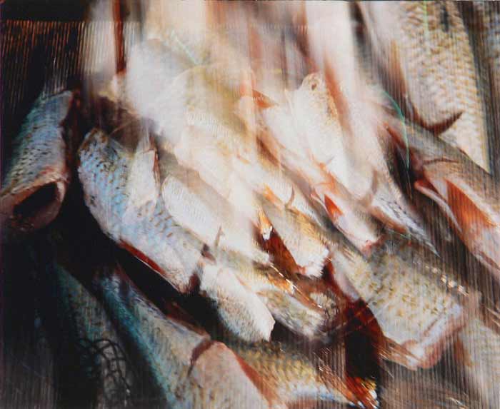 Wojciech Beszterda - Kompozycja z rybami